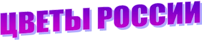 ЦВЕТЫ РОССИИ