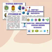 Презентация «Вирусы - неклеточная форма жизни». Биология 10 класс.