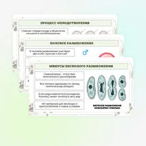 Презентация по биологии «Формы размножения животных»
