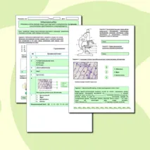 Лабораторная работа «Изучение клеток кожицы чешуи лука под лупой и микроскопом (на примере самостоятельно приготовленного микропрепарата)»