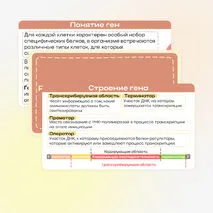 Презентация «Реакции матричного синтеза. Биосинтез белка»