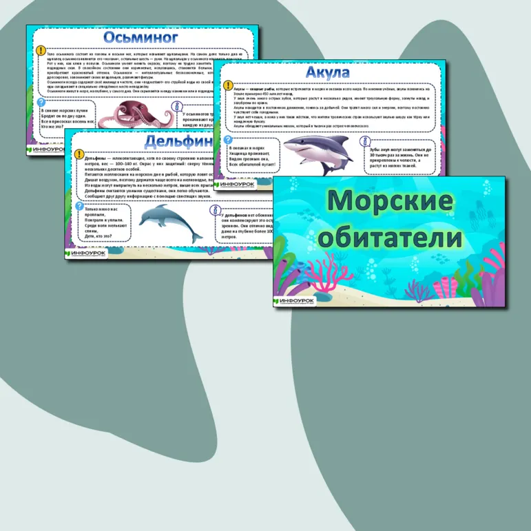 Презентация «Морские обитатели»
