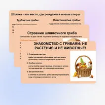 Презентация 