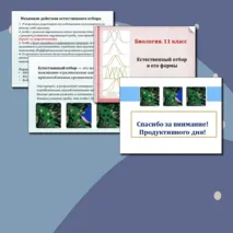 Презентация по биологии. 11 класс. Тема: «Естественный отбор и его формы».