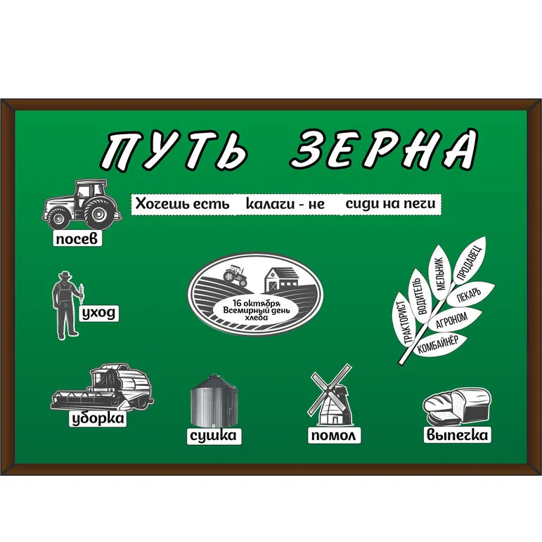 Путь зерна. Оформление доски к 