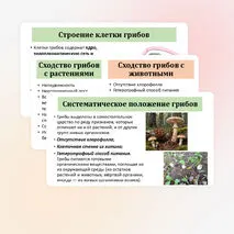 Презентация по биологии «Общая характеристика грибов» 7 класс