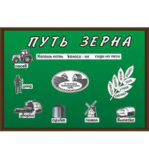 Путь зерна. Оформление доски к 