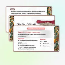 Презентация 