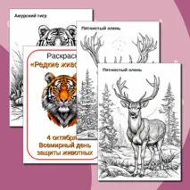 Раскраска 