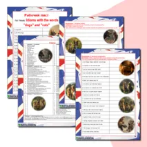 Рабочий лист по теме «Idioms with the words 