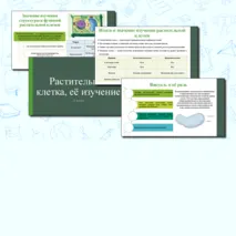 Презентация по теме: «Растительная клетка, её изучение». 6 класс