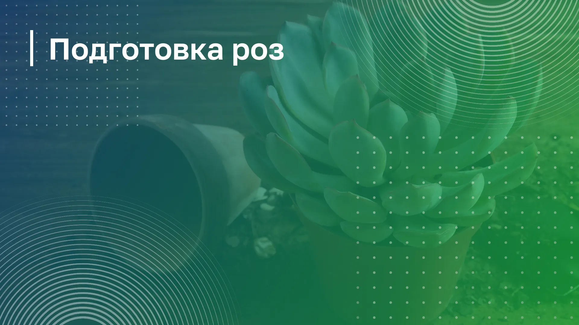 Обложка курса