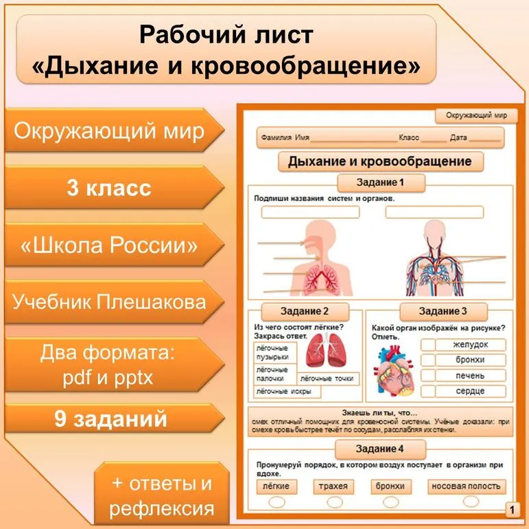 Рабочий лист по теме 