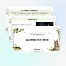 Презентация по биологии «Дыхание животных»