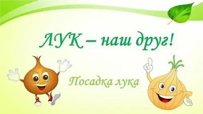 Picture background