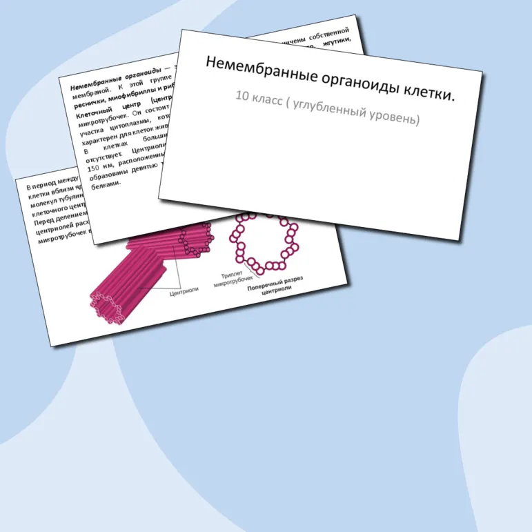 Презентация 