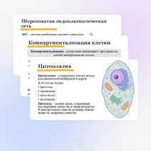 Презентация 