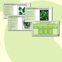 География. 8 класс. Презентация по теме 
