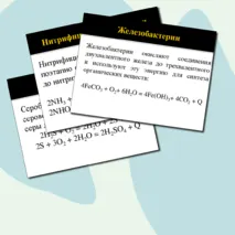 Презентация по биологии на тему 