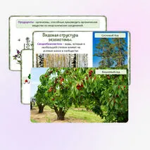 Презентация «Понятие о природном сообществе. Взаимосвязи организмов в природных сообществах», 5 класс
