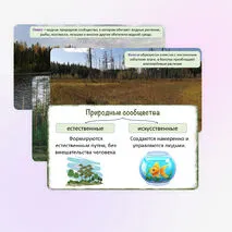 Презентация «Понятие о природном сообществе. Взаимосвязи организмов в природных сообществах», 5 класс