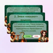 Игра 