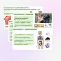 Презентация 