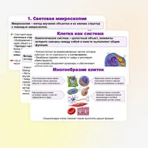 Презентация по биологии (10 класс) «История и методы изучения клетки. Клеточная теория» (В.В. Пасечник)