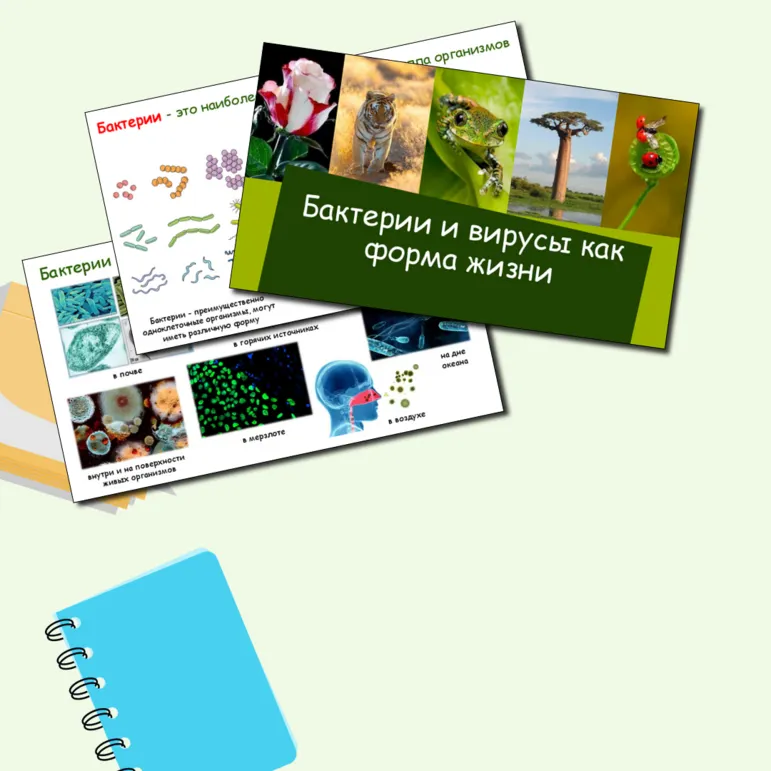 Презентация 