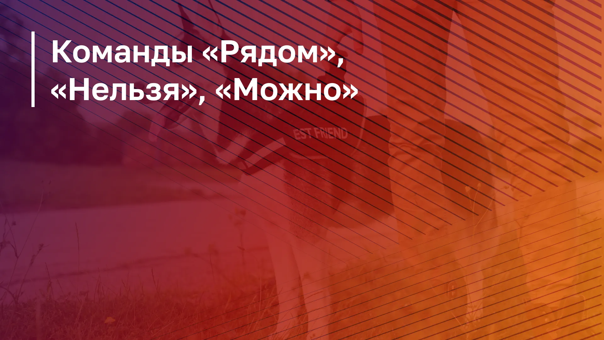 Обложка курса