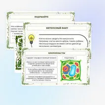 Презентация по биологии «Растительная клетка, её изучение»