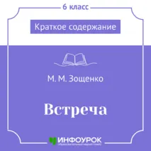 М.М. Зощенко «Встреча» — краткое содержание