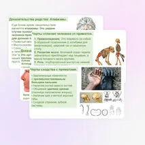 Презентация 
