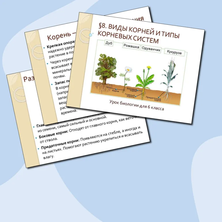 Презентация: 