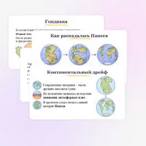 Презентация по биологии 
