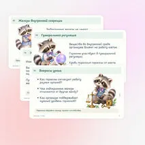 Презентация по биологии «Эндокринная система человека» 9 класс | железы внутренней секреции, гормоны, гомеостаз
