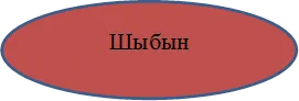 Шыбын