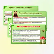 Презентация по ОБЗР по теме: «Правила безопасного поведения в природной среде». 9 класс.