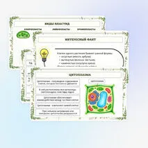 Презентация по биологии «Растительная клетка, её изучение»