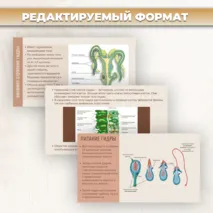 Презентация «Тип кишечнополостные» к учебнику по биологии для 7 класса- Пасечник В.В., Суматохин С.В. и др.