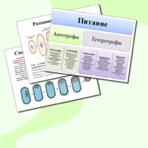 Презентация 