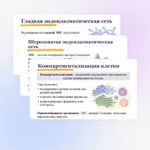 Презентация 