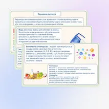 Основы рационального питания. Пищевая ценность овощей. Технологии обработки овощей