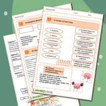 Нервная система человека