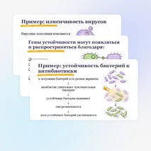 Презентация по биологии 