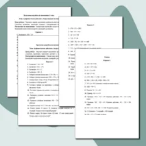 Практическая работа по математике 5 класс 