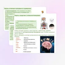 Презентация 