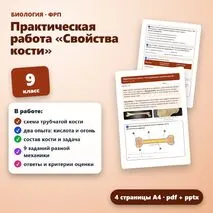 Практическая работа «Исследование свойств кости» по биологии для 9 класса