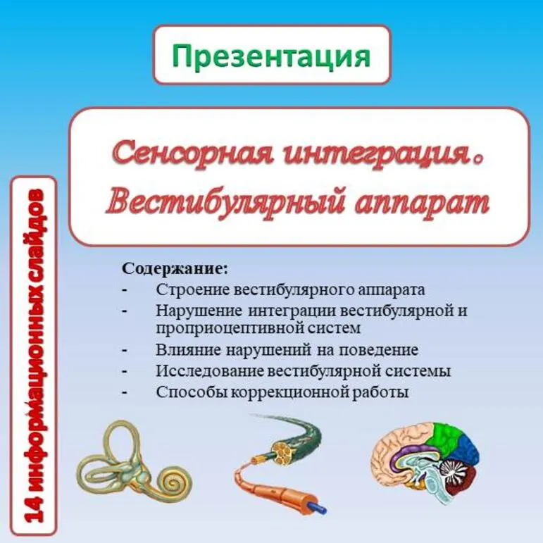 Сенсорная интеграция. Вестибулярный аппарат