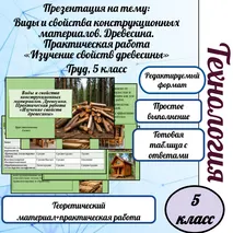 Презентация на тему: Виды и свойства конструкционных материалов. Древесина. Практическая работа «Изучение свойств древесины».